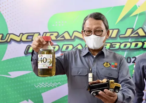 Stagnasi Produksi Sawit di Tengah Rencana B40