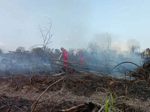 Karhutla Riau di Tujuh Daerah Masih Terus Dipadamkan