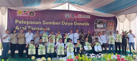 BPDP Dukung Pelepasan Bibit Sawit Unggul Asal Tanzania