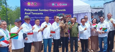 Dubes Tanzania: Pelepasan Genetik Sawit Jadi Simbol Kuat Kolaborasi Indonesia–Afrika