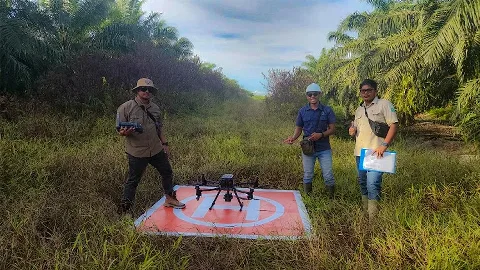 Precision Replanting Mapping &amp; Blueprint Design dalam Penguatan Perencanaan Lanskap Perkebunan