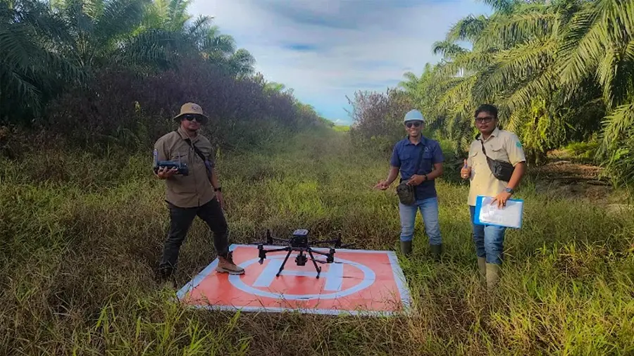 Precision Replanting Mapping &amp; Blueprint Design dalam Penguatan Perencanaan Lanskap Perkebunan