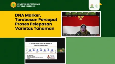 Teknologi DNA Marker Dapat Menjadi Sebuah Terobosan Pendaftaran dan Pelepasan Varietas Tanaman