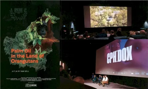 Film “Palm Oil in The Land of Orangutans” Menjadi Oase di Tengah Kampanye Hitam Sawit yang Makin Masif