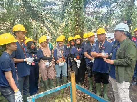 BPDPKS Ajak Peserta Lomba Riset Pahami Perkebunan Sawit