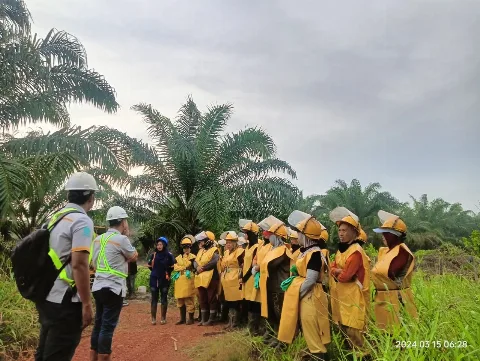 Lulusan Diploma I AKPY Angkatan Pertama Beasiswa Sawit BPDPKS Jadi Asisten Kebun