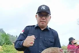 Provinsi Kalbar Memaksimalkan Pemanfaatan Lahan Gambut untuk Meningkatkan Produksi Pertanian