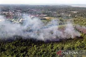 167 Titik Panas Tersebar di Provinsi Kalimantan Timur