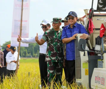 IPB 9G Inovasi Varietas Unggul Memiliki Produktivitas Tinggi