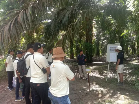 Peserta Pelatihan Petani Sawit Kunjungi Kebun dan Pabrik Sawit