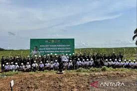 Strategi Jitu Meningkatkan produksi Kelapa Sawit Dalam Menghadapi Fenomena El Nino Pada 2024