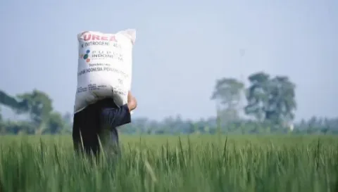 Pemerintah Menambah Alokasi Pupuk Bersubsidi Untuk Jawa Timur