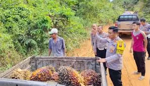 Pencurian TBS Ganggu Iklim Investasi