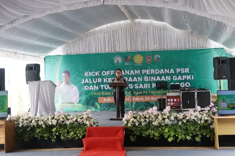 Gapki Tanam Perdana Integrasi PSR Sawit dan Padi Gogo di Kalsel