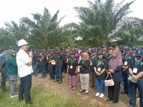 Usai Dapat Materi, Peserta Pelatihan Petani Sawit Kunjungi Kebun Milik PTPN di Burau