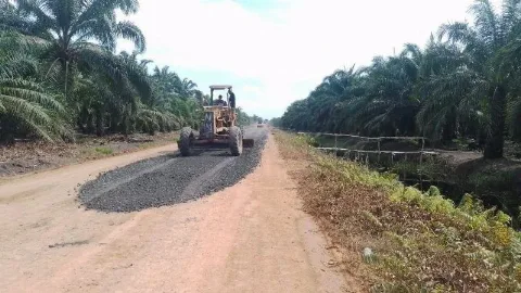 Industri Sawit Siapkan Strategi Mitigasi Hadapi Kemarau Panjang