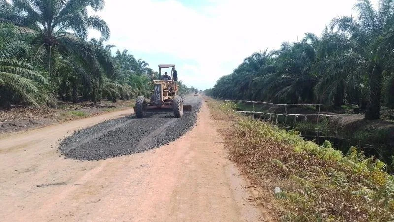 Industri Sawit Siapkan Strategi Mitigasi Hadapi Kemarau Panjang