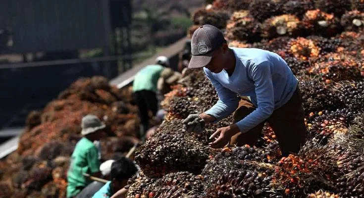 Traceability Uni Eropa Sarat Kepentingan Politik dan Perdagangan