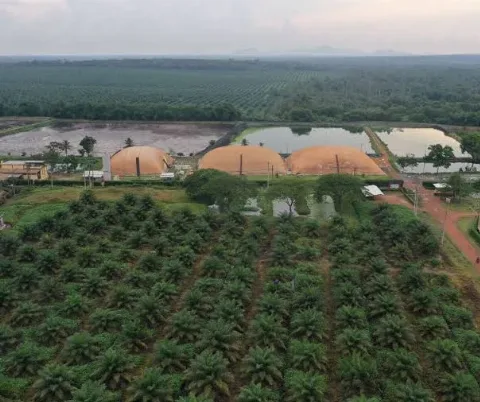 KLHK Akan Larang Pemanfaatan Limbah Cair Sebagai Pupuk di Perkebunan Sawit
