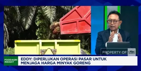 GAPKI Beberkan Penyebab Kelangkaan Minyakita dan Ancaman Stagnasi Produksi Sawit RI