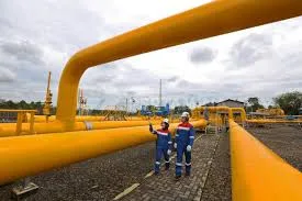 Pertamina Kembangkan Energi Energi Hijau di IKN