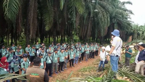 Kunjungan Kebun, Dr. Sri Gunawan: Perlihatkan Teknik Budidaya Sawit Sesuai <em>Good Agriculture Practices</em>