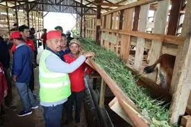 Bupati Kutai Kartanegara: Tularkan Kebaikan Desa Pertanian Terintegrasi Peternakan Dengan Pertanian