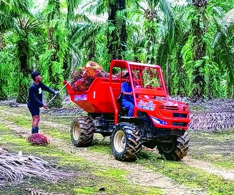 Agrisarana Jaya Perkasa Solusi Mekanisasi Perkebunan Sawit