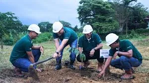 PT Sukses Tani Nusasubur Melakukan Penanaman Pohon Buah-Buahan di Hari Lingkungan Hidup Sedunia