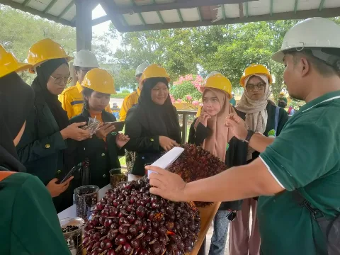 Mahasiswa STIPER Amuntai Kunjungi Lahan Astra Agro, Sadari Manfaat Besar Sawit Bagi Masyarakat