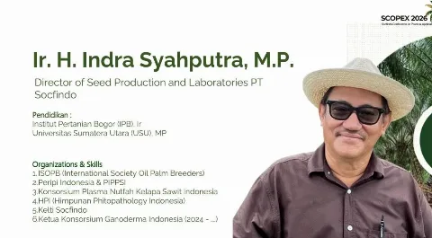 Sekitar 4,9 Juta Perkebunan Sawit Terinfeksi Ganoderma, Konsorsium Ganoderma Usulkan Strategi Pengendalian Terpadu