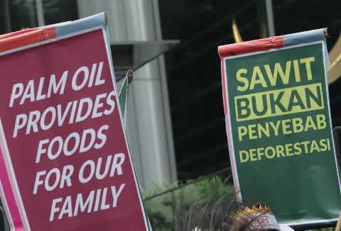 Ini Sikap Astra Agro Terhadap Laporan Friends Of Earth dan Walhi