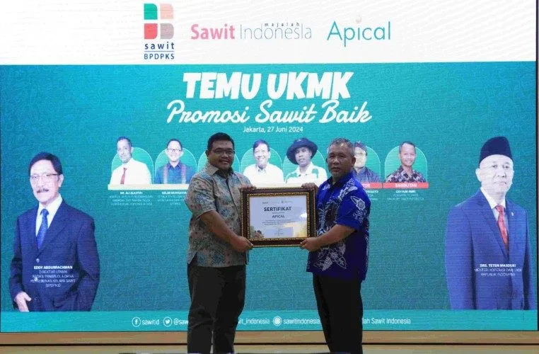 Di Hari UMKM Internasional, Apical Raih Penghargaan Sebagai Perusahaan Pendamping UKM