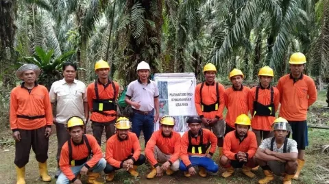 Peningkatan Skill Pekerja Melalui Pengalaman Pelatihan Individu