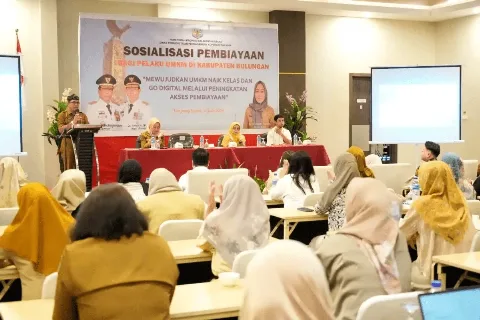 Provinsi Kalimantan Utara Sosialisasikan Pembiayaan Pelaku UMKM