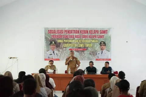 Pemerintah Kabupaten Luwu Timur Lakukan Sosialisasi Pendataan Kebun Sawit Program Dana Bagi Hasil Kelapa Sawit