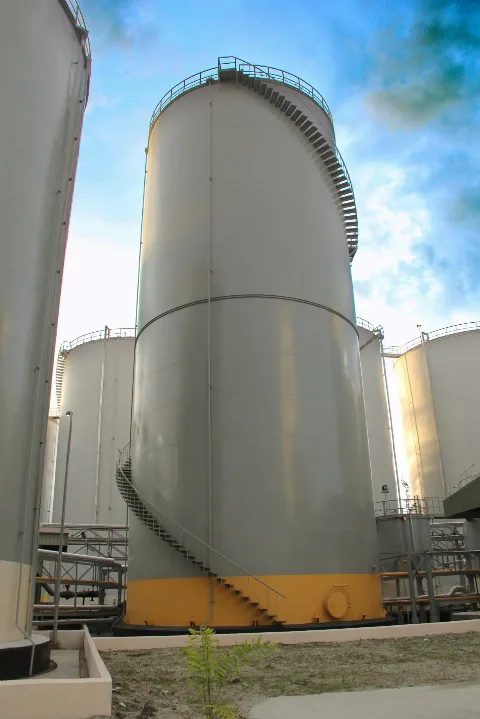 Produktivitas Turun, Indonesia Bakalan Jadi Importir Sawit