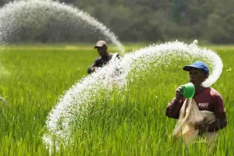 13 Usulan Pupuk Indonesia Tingkatkan Produktivitas Pertanian