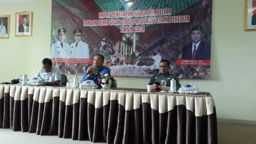 Harga TBS Kalteng Mengalami Tren Kenaikan