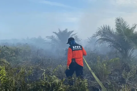 Antisipasi Kabut Asap, 5 Daerah di Riau Kompak Naikkan Status Jadi Siaga Karhutla