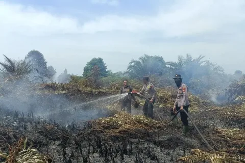 30 Titik Panas Terdeteksi di Kabupaten Rokan Hilir