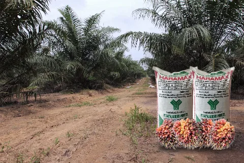 Inilah Dua Produk Pupuk Andalan Satya Agrindo Perkasa di SIEXPO 2024