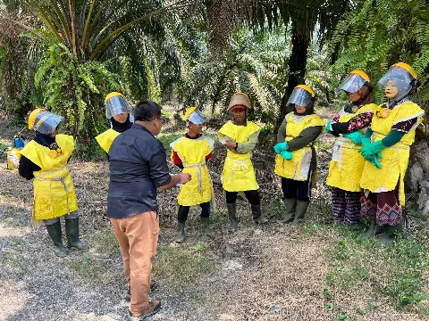 TUV Nord Bantu Peningkatan Akses Pasar Kelapa Sawit Indonesia Melalui Praktik Berkelanjutan dan Sertifikasi