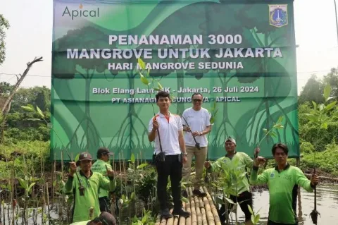 Peringati Hari Mangrove Sedunia, Apical Tanam 3.500 Mangrove