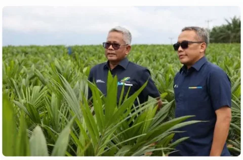 Transformasi Holding PTPN Ubah Rugi Jadi Laba