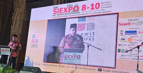 Legislator Muhammad Nasir: Saya Usulkan Ke Presiden Terpilih Prabowo, Sawit Sebagai Lokomotif Energi