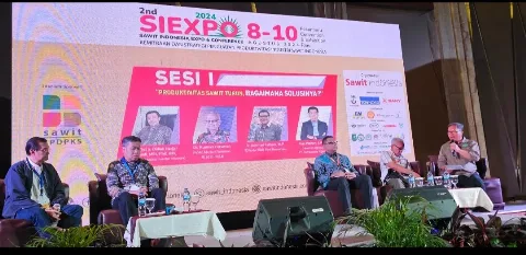 Sejumlah Solusi Ditawarkan di Tengah Stagnasi Produktivitas Sawit