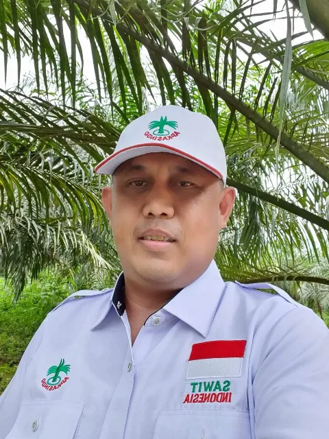 Kebijakan Sentralisasi Ekspor Picu Kepanikan, Harga TBS Sawit di Kaltim Anjlok Hingga Rp1.740/Kg