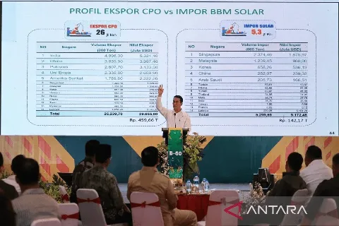 Pemerintah Menjamin Ketersediaan Energi Terbarukan Melalui Perkebunan Kelapa Sawit