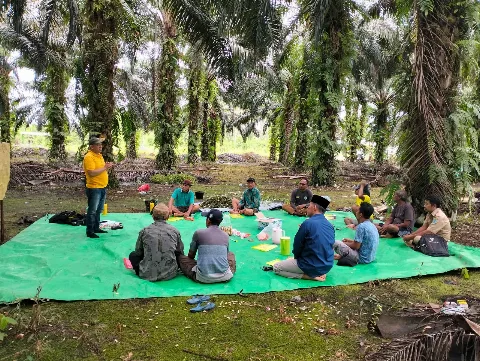 Penjualan TBS Sawit Lebih Mudah, Petani Makin Sejahtera